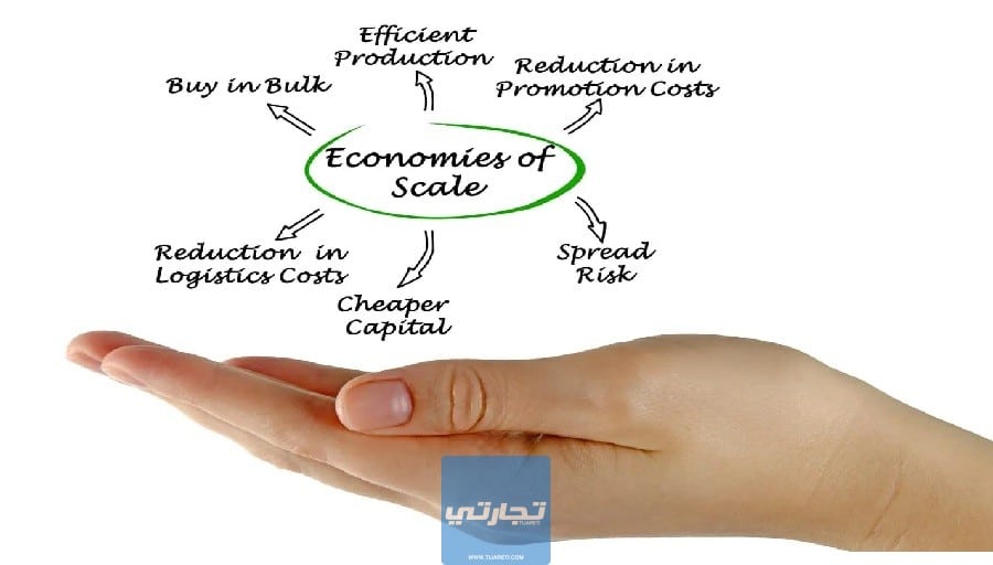 ما هي اقتصاديات الحجم؟ تعريف اقتصاديات الحجم وأنواعها بالتفصيل