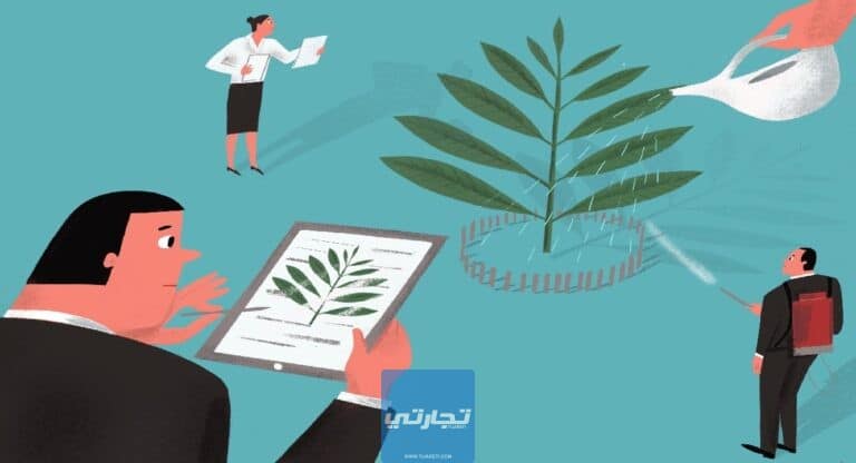 كيف أبدأ مشروع من الصفر | خطوات إنشاء مشروع من الصفر وبشكل احترافي