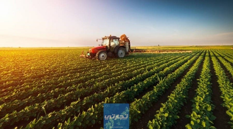 التسويق الزراعي | أهمية التسويق الزراعي وأنواعه ووظائفه