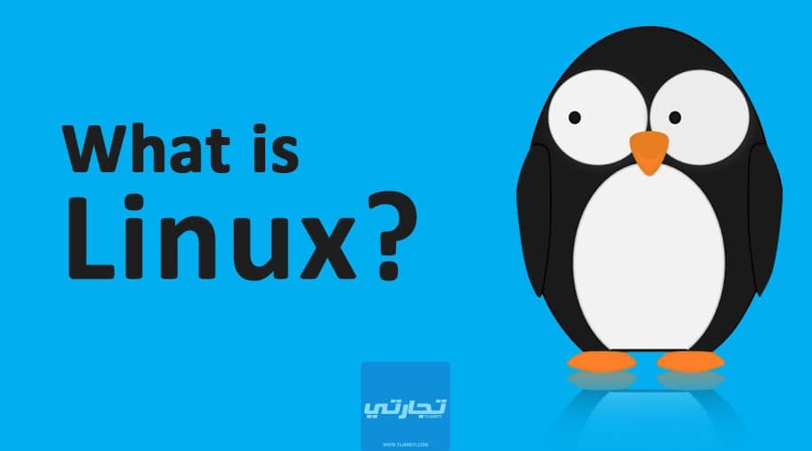 ما هو نظام لينكس Linux؟ ميّزاته وسلبياته ومدى أمانه لعام 