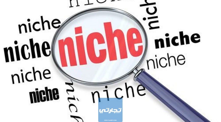 ما هو النيتش Niche للأعمال التجارية