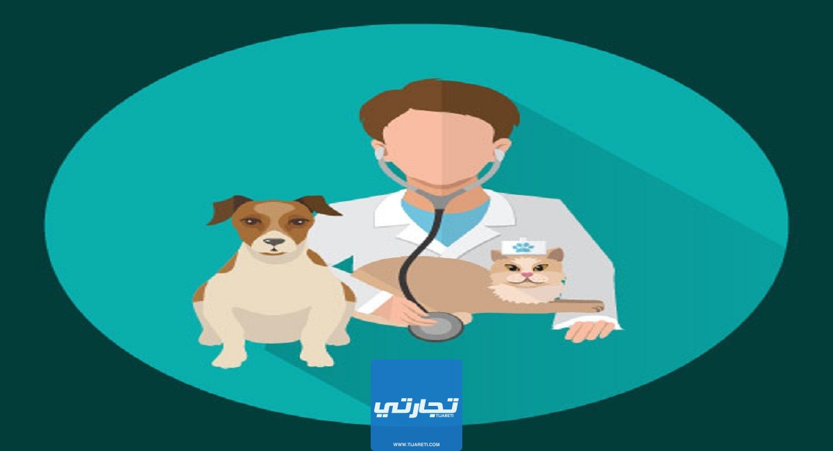 كم راتب الطبيب البيطري في السعودية 2023