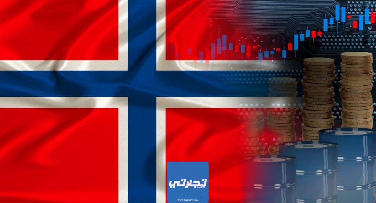 الاستثمار في النرويج: مشاريع بسيطة ومربحة في النرويج