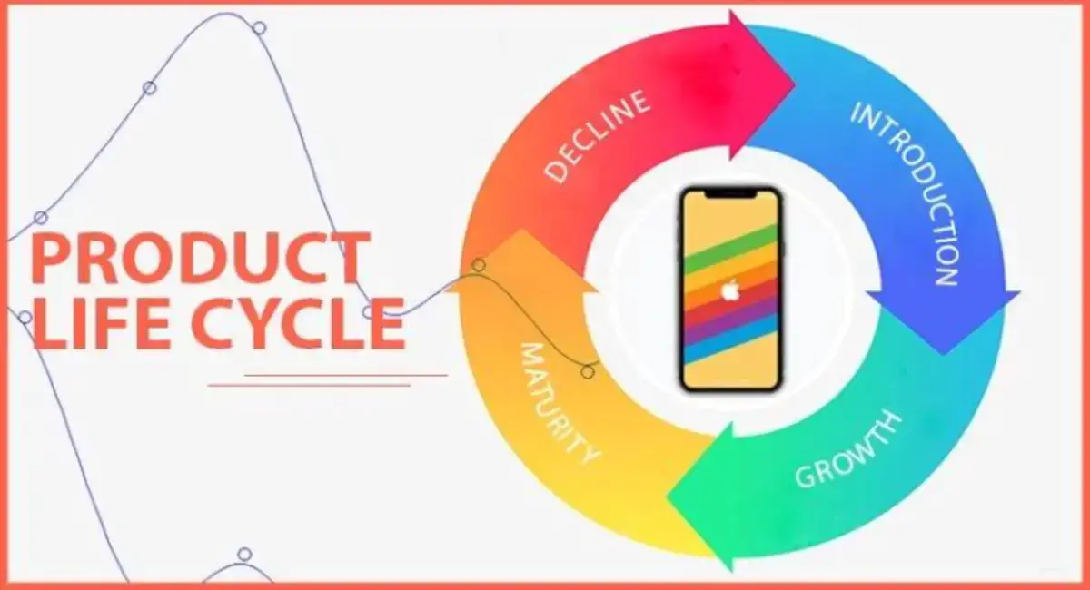 دورة حياة المنتج ودورها في تطوير وتسويق المنتجات