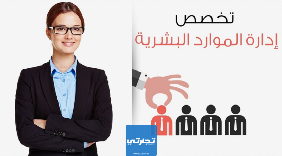 أكثر التخصصات المطلوبة في مصر للنساء