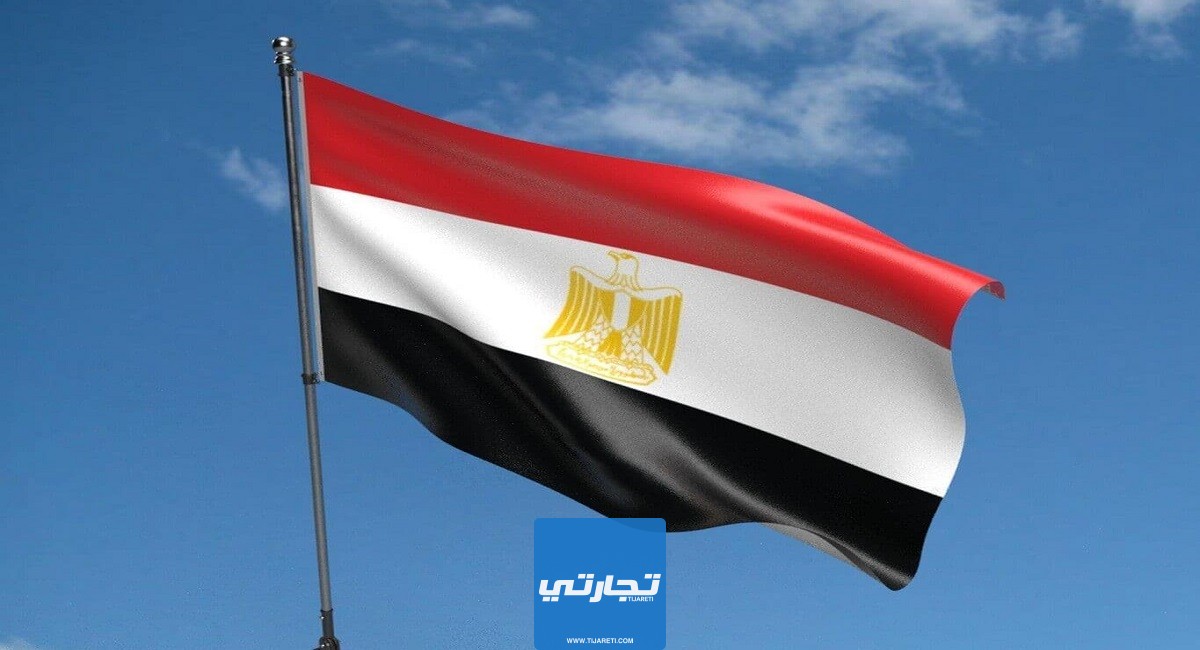 سلم رواتب القطاع الخاص في مصر 2024