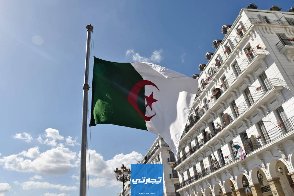 إنشاء مؤسسة مصغرة في الجزائر الشروط وخطوات التأسيس