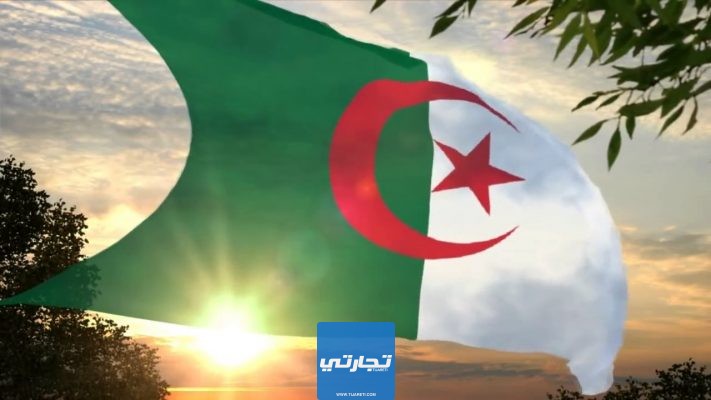 إنشاء مؤسسة مصغرة في الجزائر